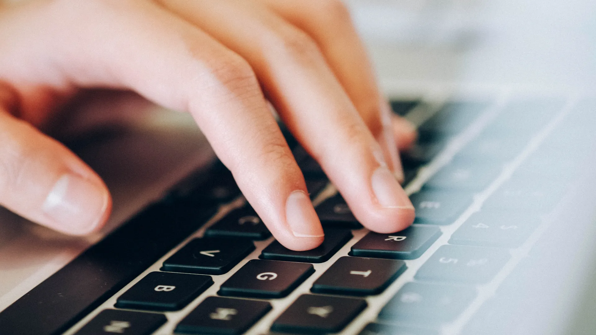 Фото: pxhere.com