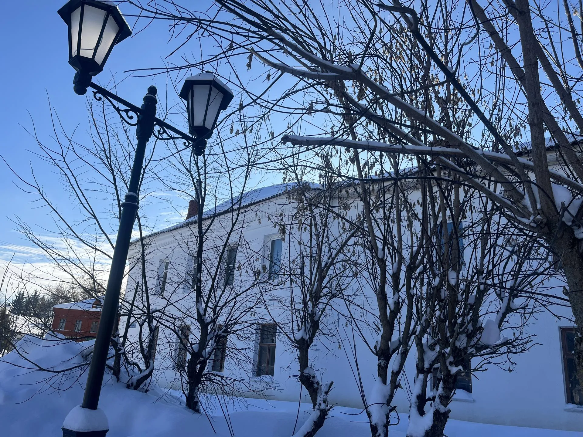 Анна Тюрюмина