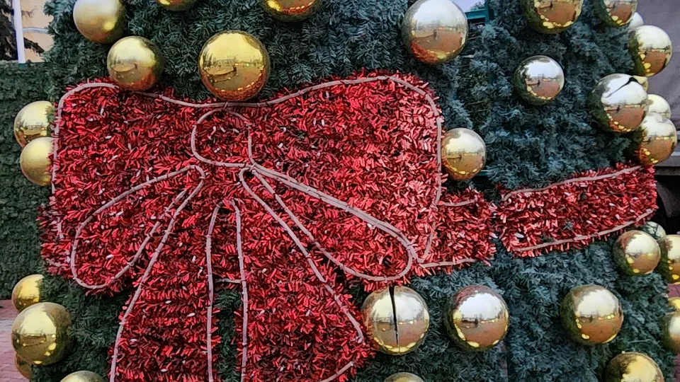 Фото: МедиаБанк Подмосковья/Максим Сафронов