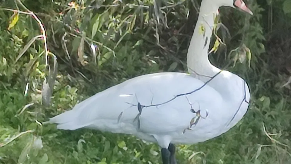 Фото: Дарья Сергеева