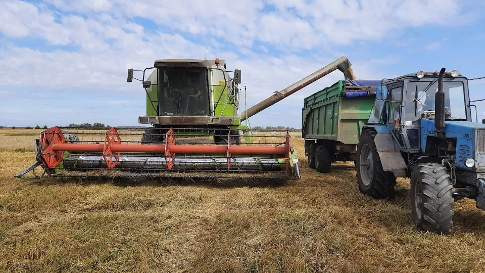 Фото: пресс-служба Администрации г.о. Воскресенск