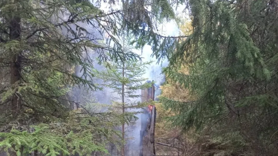 Фото: пресс-служба администрации Орехово-Зуевского г.о.