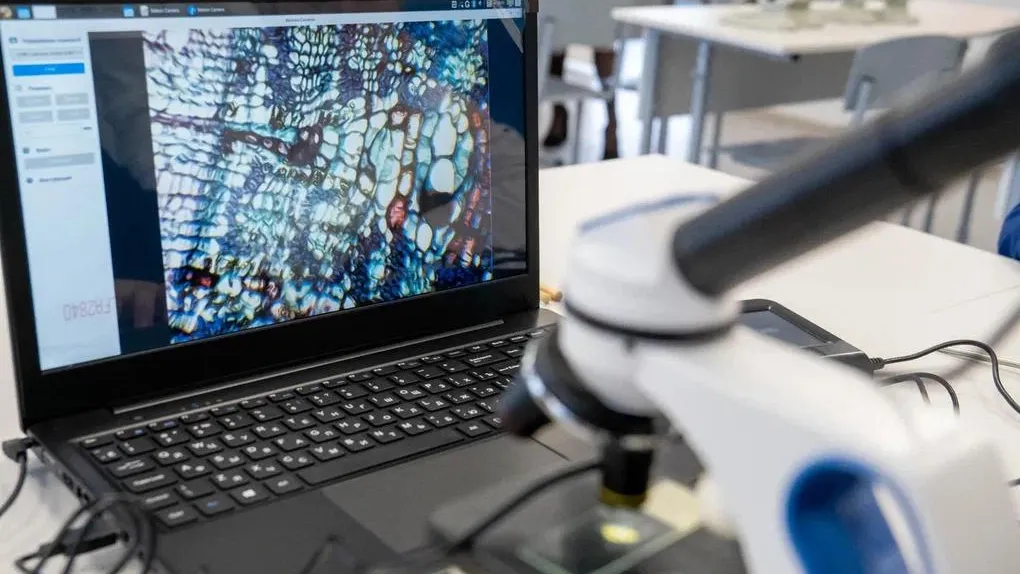 Алена Жамкова