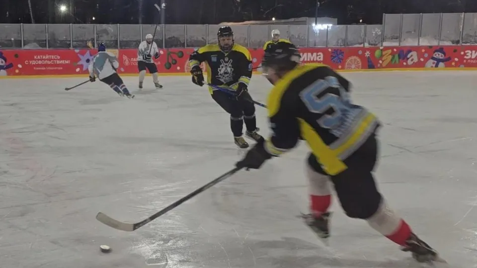 Фото: МедиаБанк Подмосковья/Марина Анисимова