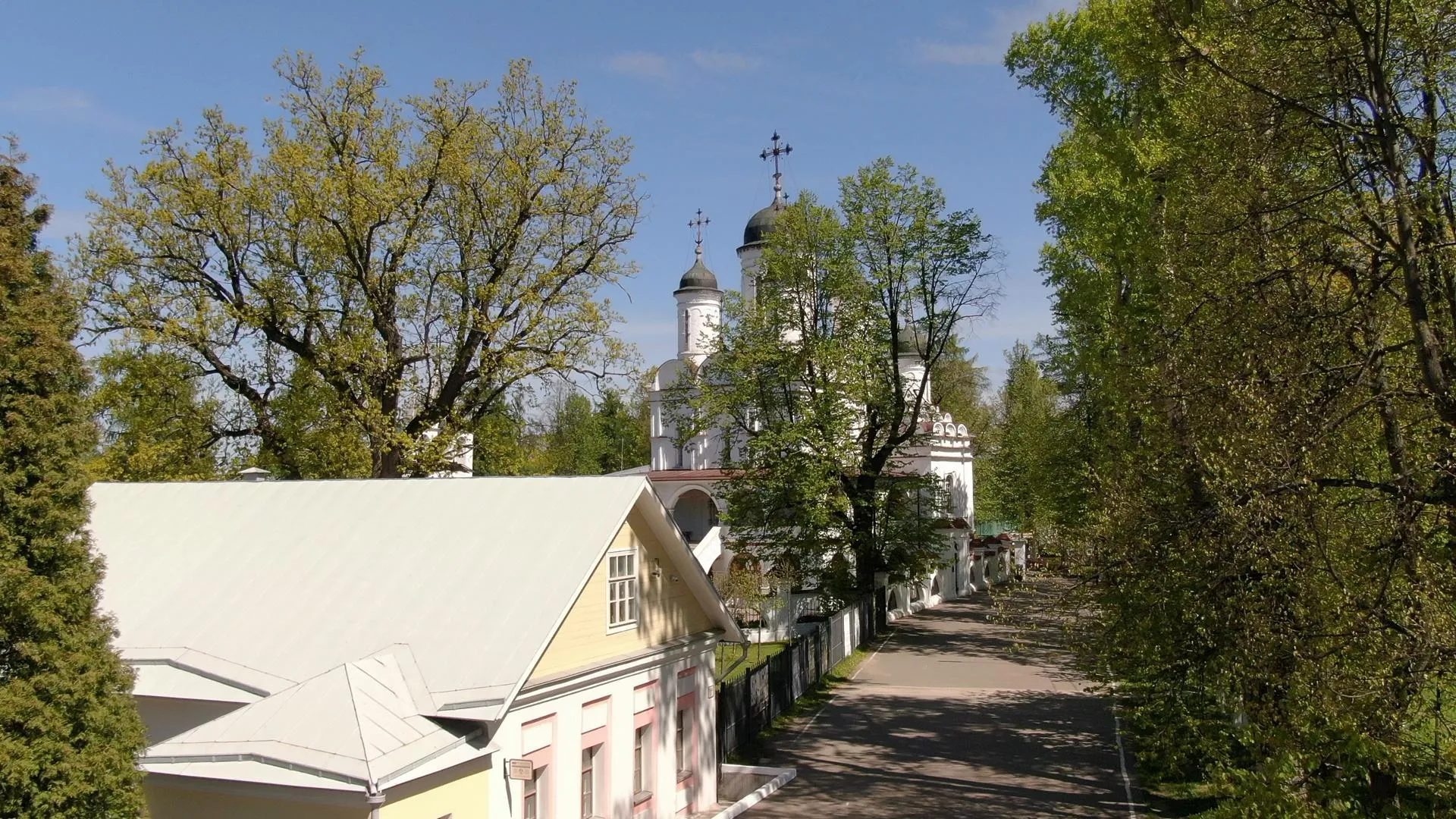 Фото: Ксения Борцова