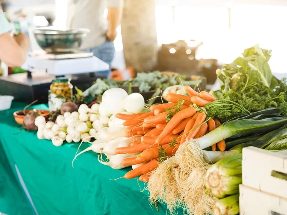 Фото: freepik.com