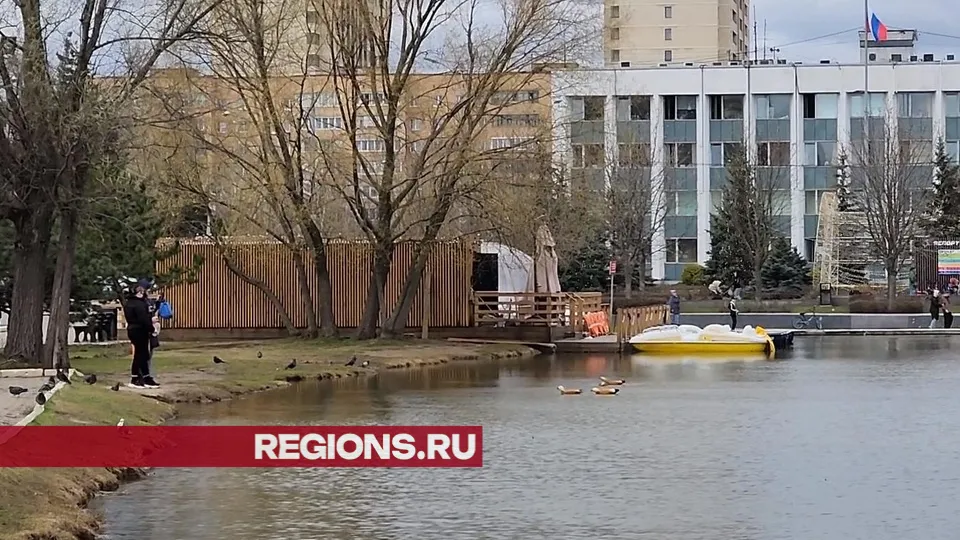 Фото: Никита Сморкалов