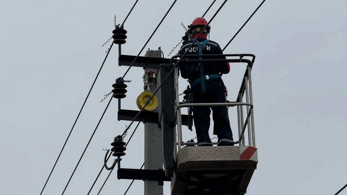 Фото: Россети. Московский регион