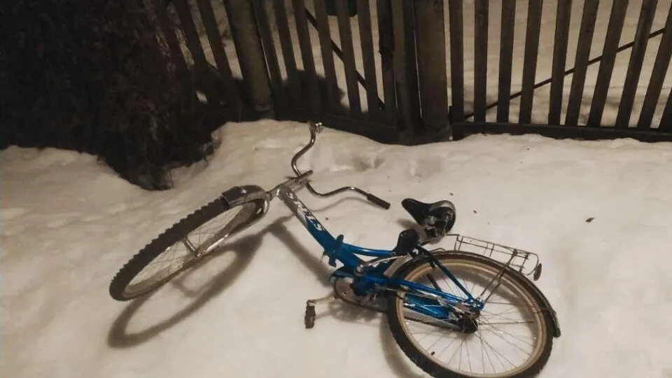 Фото: Росгвардия Московской области