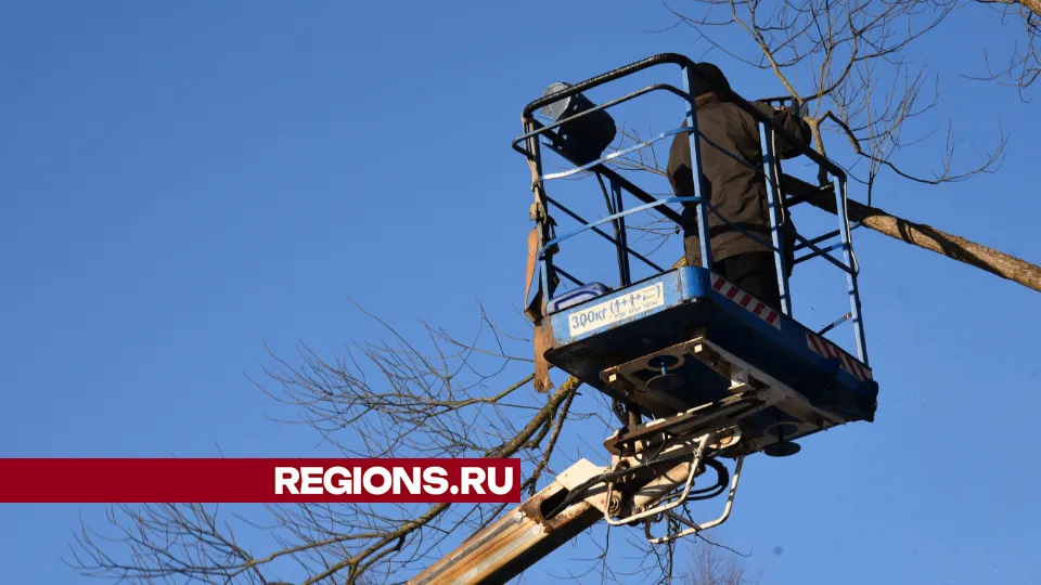 Фото: МедиаБанк Подмосковья/Владимир Останин