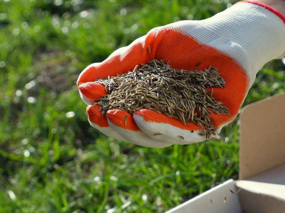 Фото: istockphoto.com