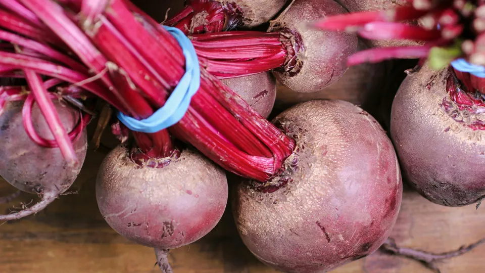 Фото: unsplash.com