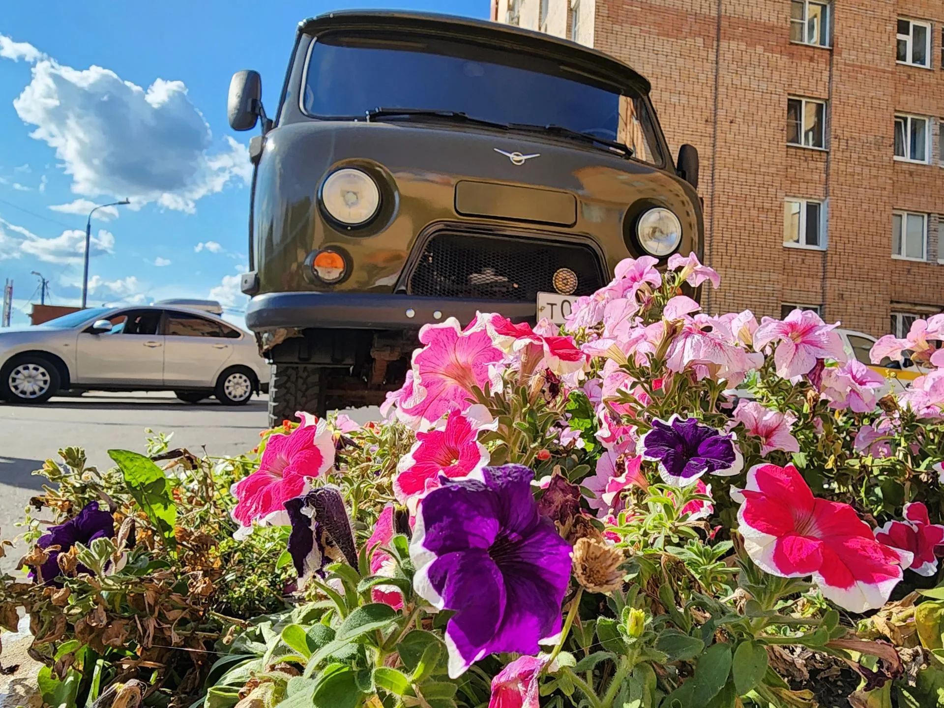 Фото: Андрей Семибратов