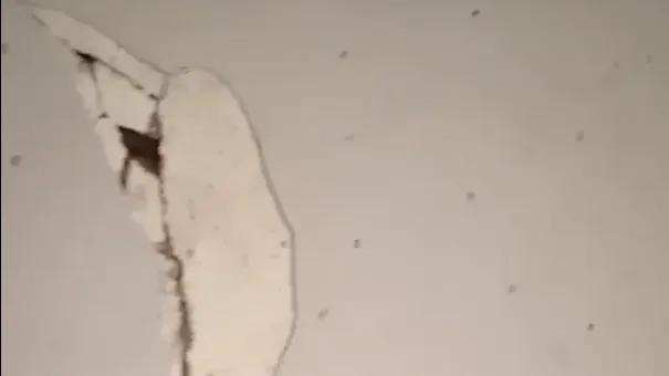 Фото: Подслушано | Дедовск / ВКонтакте