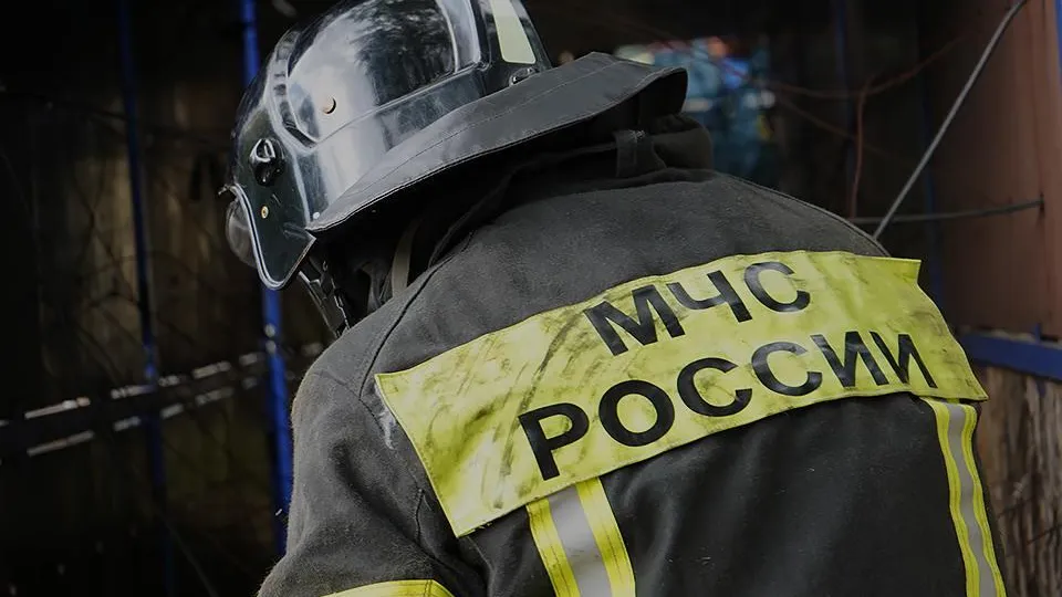 МЧС: пожар в подмосковном Красногорске локализовали на площади 4 тыс. квадратов