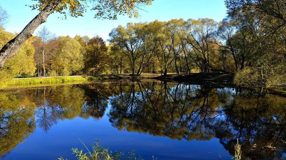 Фото: REGIONS/Анастасия Завертайло