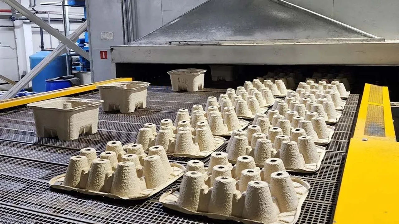 Пульперкартон покорил Россию: что это такое и почему это настоящая инновация?