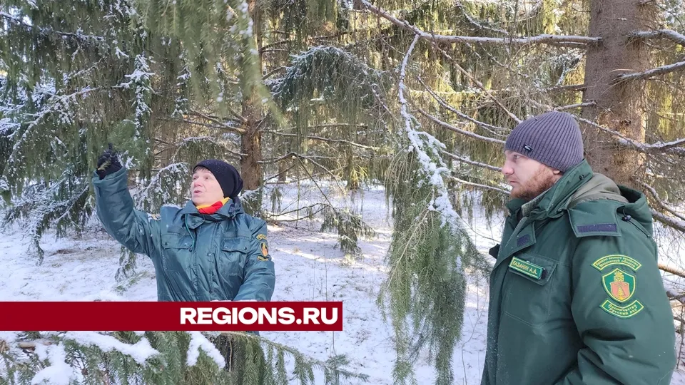 Фото: REGIONS/Александр Степушкин