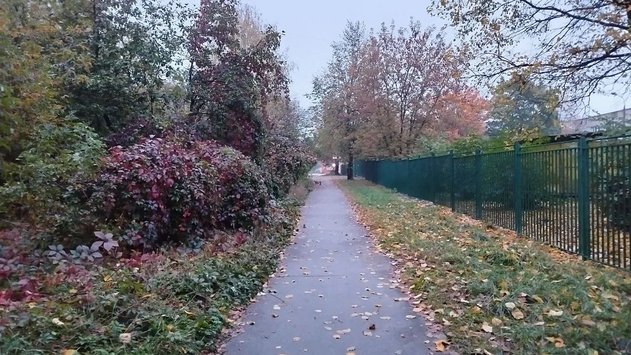 Фото: Наталья Дорофеева