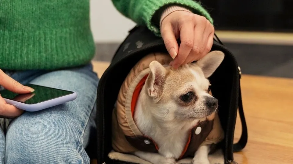 Фото: freepik.com