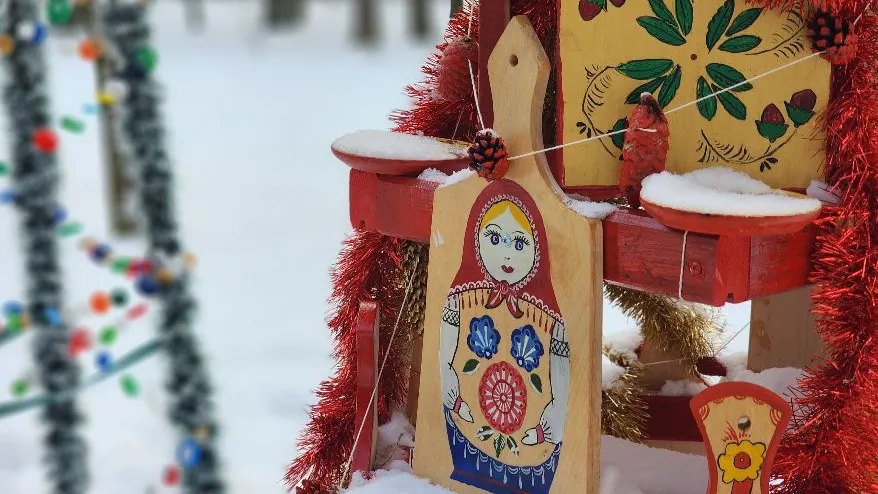 Фото: МедиаБанк Подмосковья/Светлана Плотникова