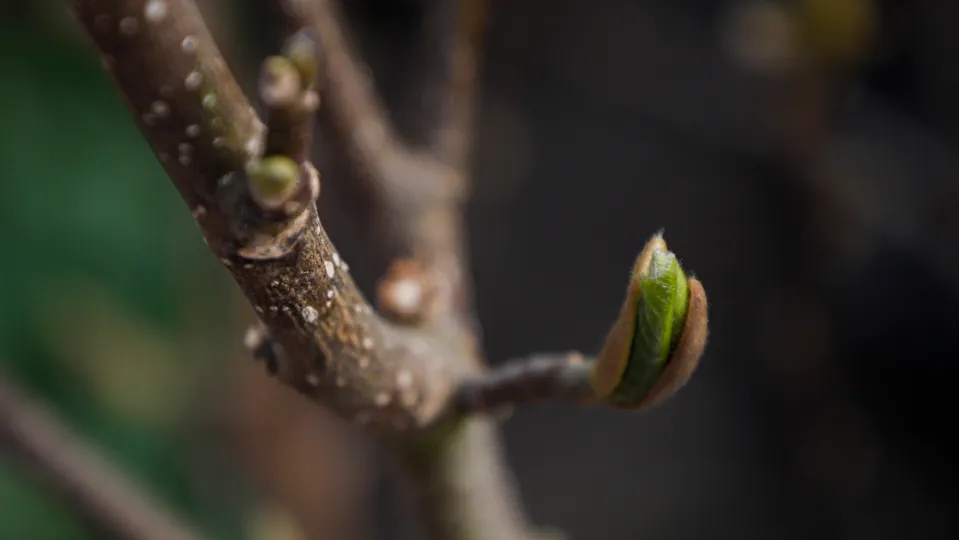 Фото: REGIONS/Наталия Надточая