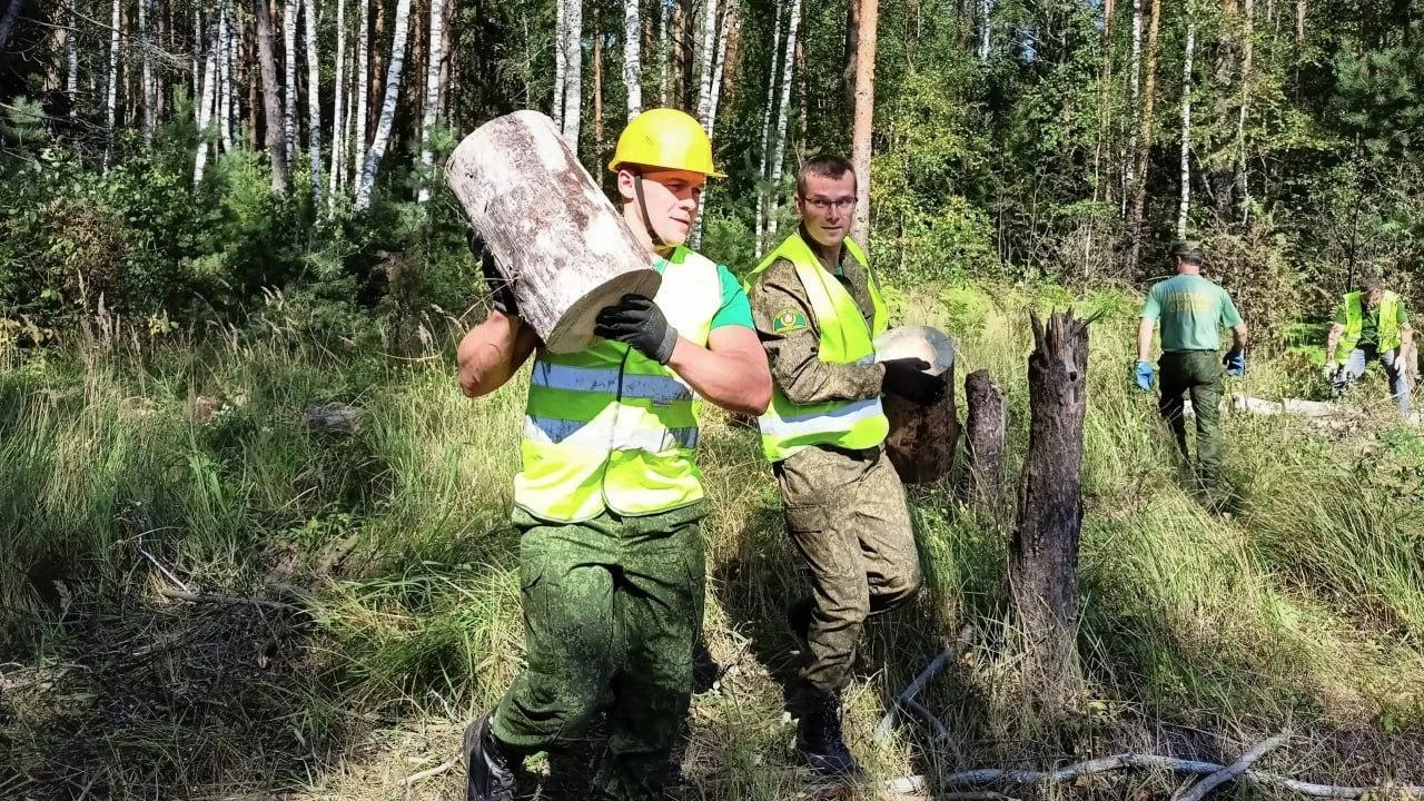 Комитет лесного хозяйства Московской области