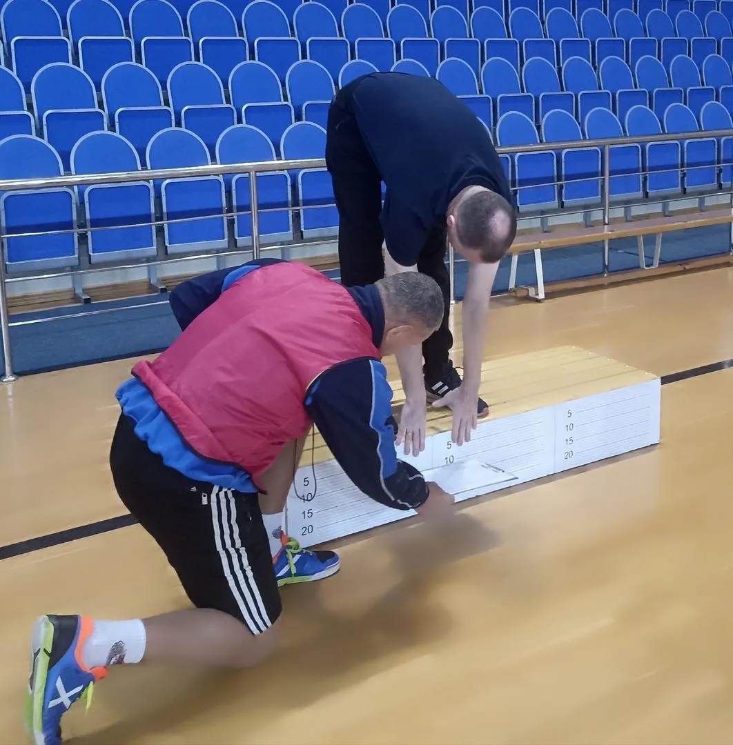 Фото: Дворец спорта «Зарайск»