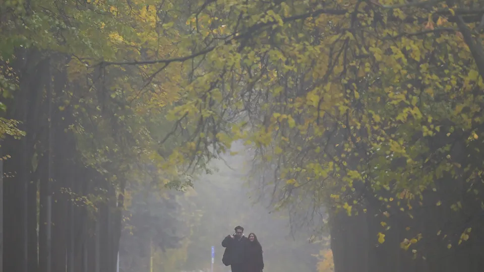 Фото: РИА Новости/Евгений Биятов