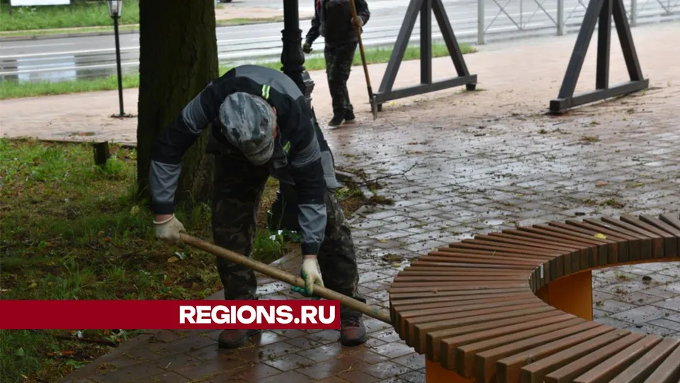 Фото: Владимир Останин