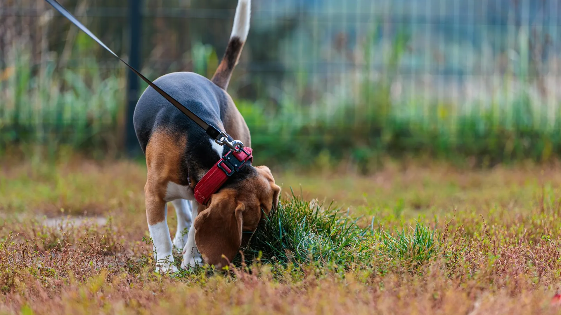 медиасток.рф