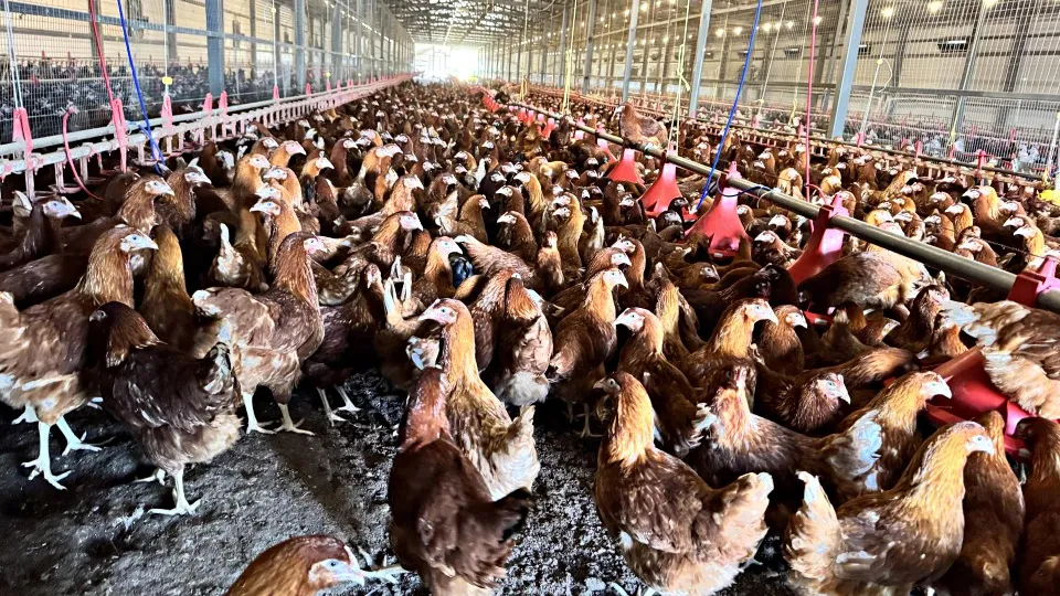 Фото: Татьяна Рунова