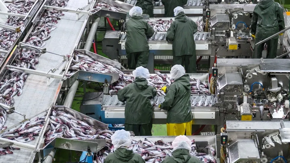 Фото: РИА Новости/Сергей Красноухов