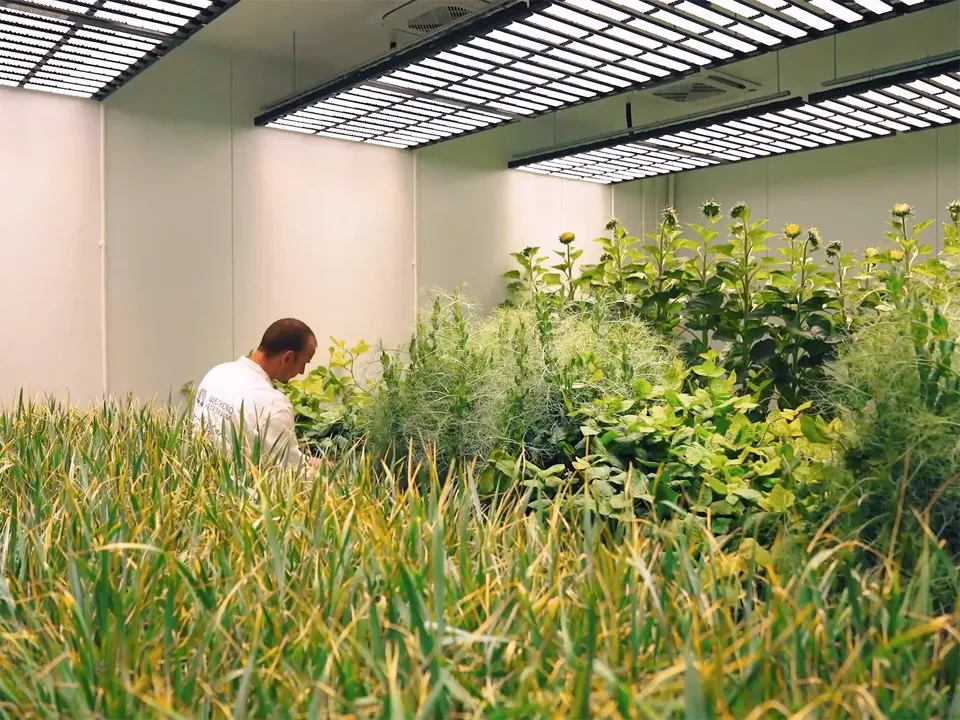 Фото: Компания «Щелково Агрохим»