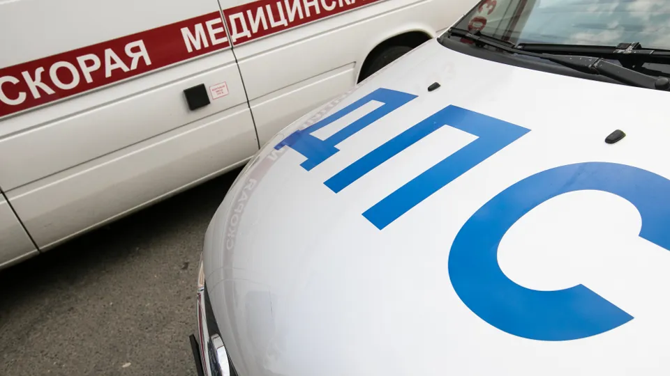 Фото: ТАСС/Михаил Жбанков