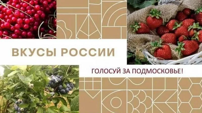 Подмосковье лидирует по числу участников «Вкусов России»