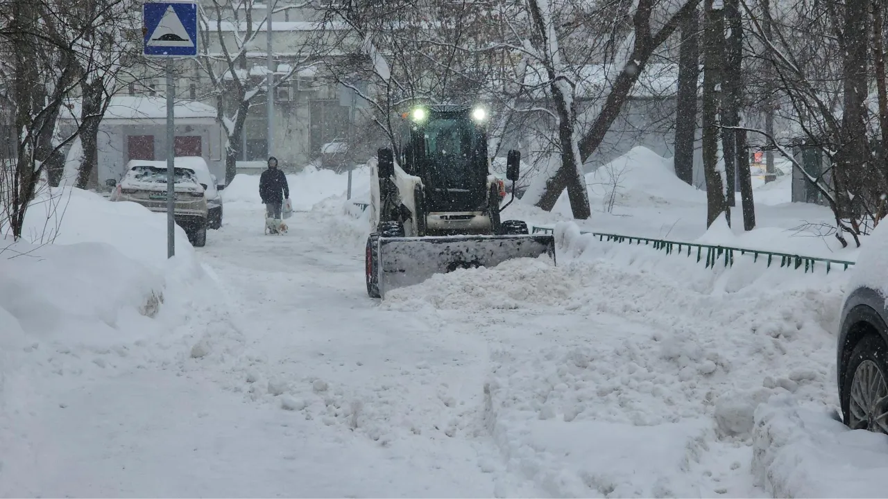 МедиаБанк Подмосковья/Наталья Лымарь