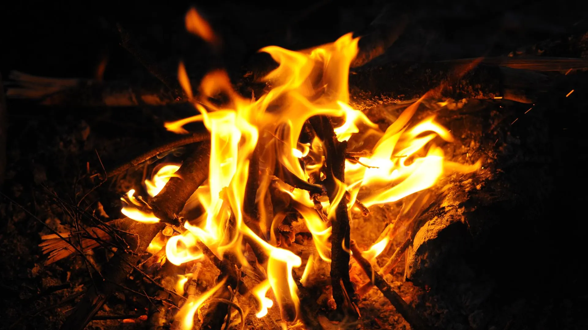 медиасток.рф