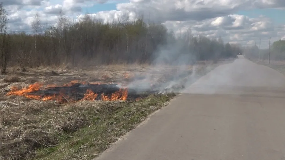Фото: Наталия Надточая
