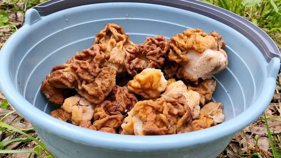 Фото: Ксения Пашуто