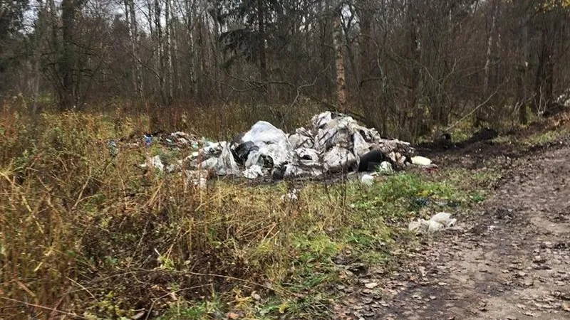 Лесники возбудили дело против хулиганов, выкинувших гору мусора в лесу Сергиева Посада