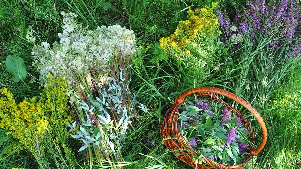 Фото: istockphoto.com