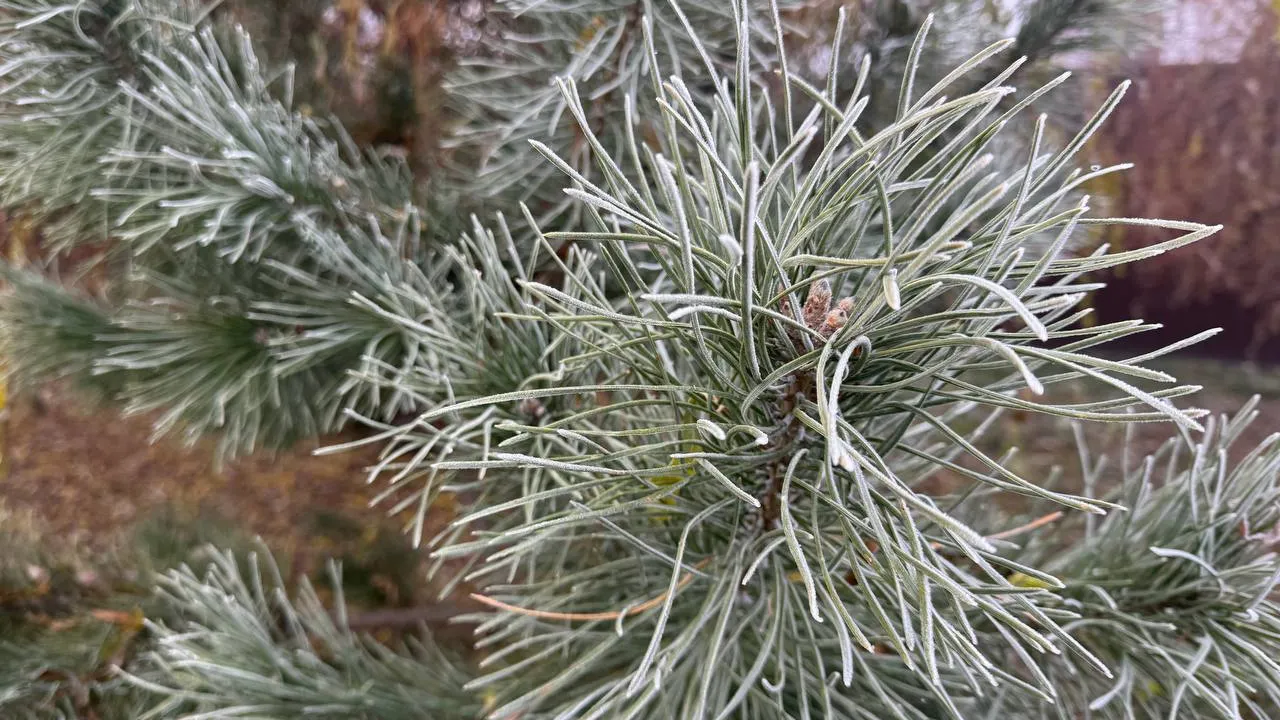 Фото: REGIONS/Эльвира Сафина