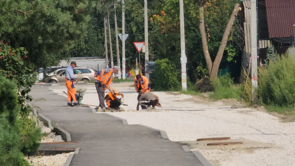 Алена Притула