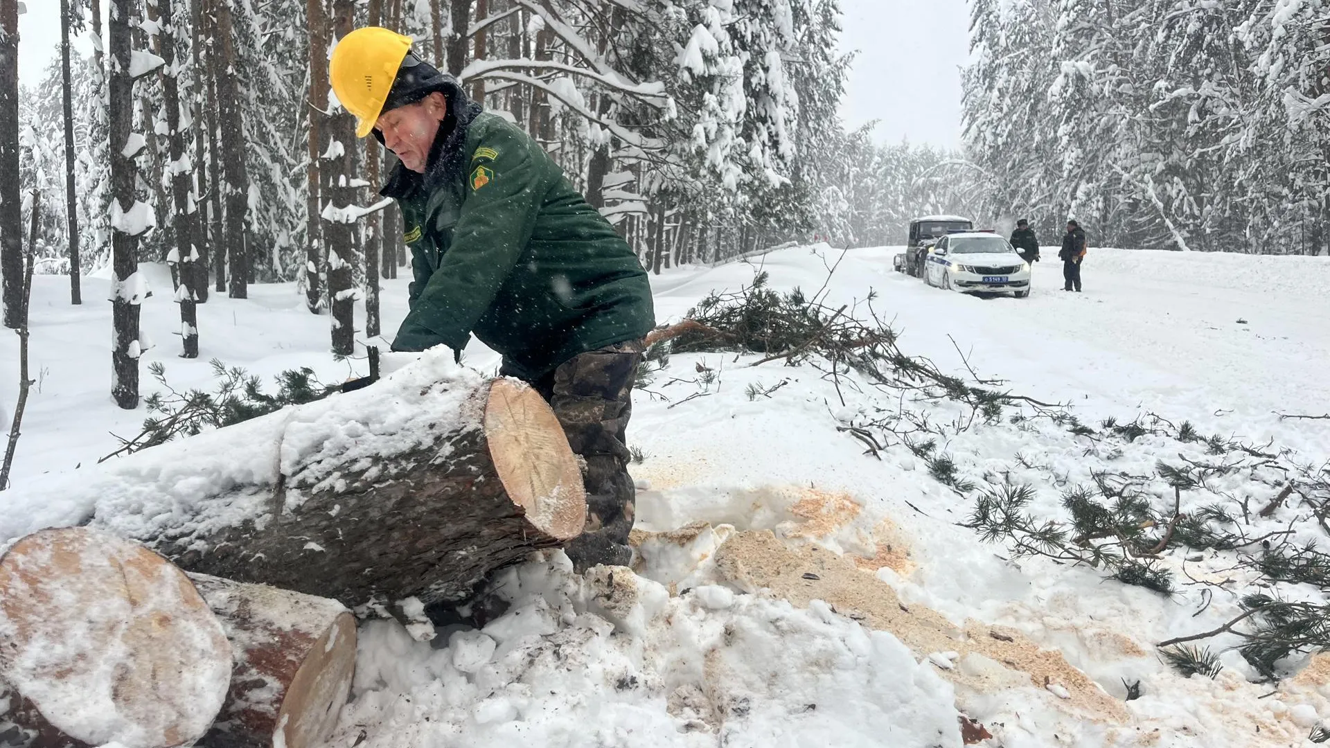 МедиаБанк Подмосковья/Ангелина Стельмух
