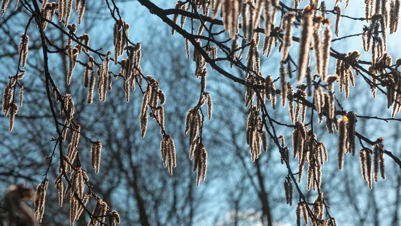 медиасток.рф