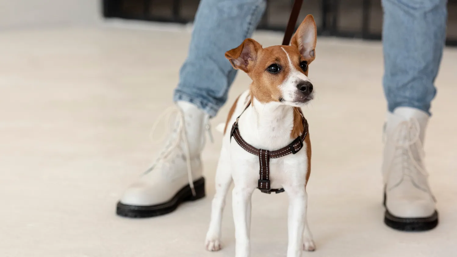 Фото: freepik.com