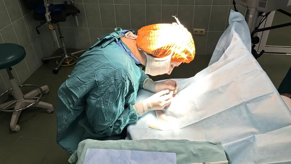 Фото: Пушкинская клиническая больница имени профессора Розанова В.Н.