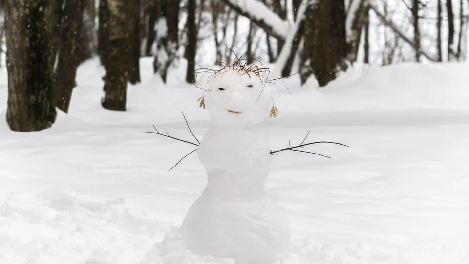 Фото: медиасток.рф