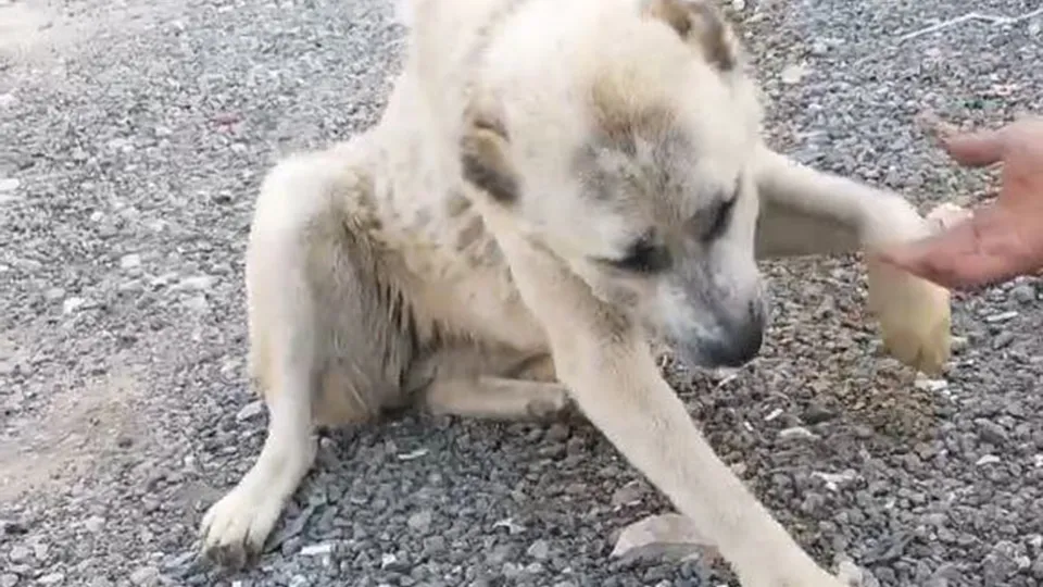 Фото: Анна Пенина